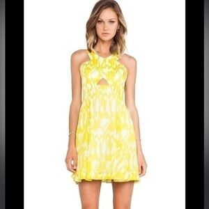 Bellicity Dress in Margarita
Trina Turk